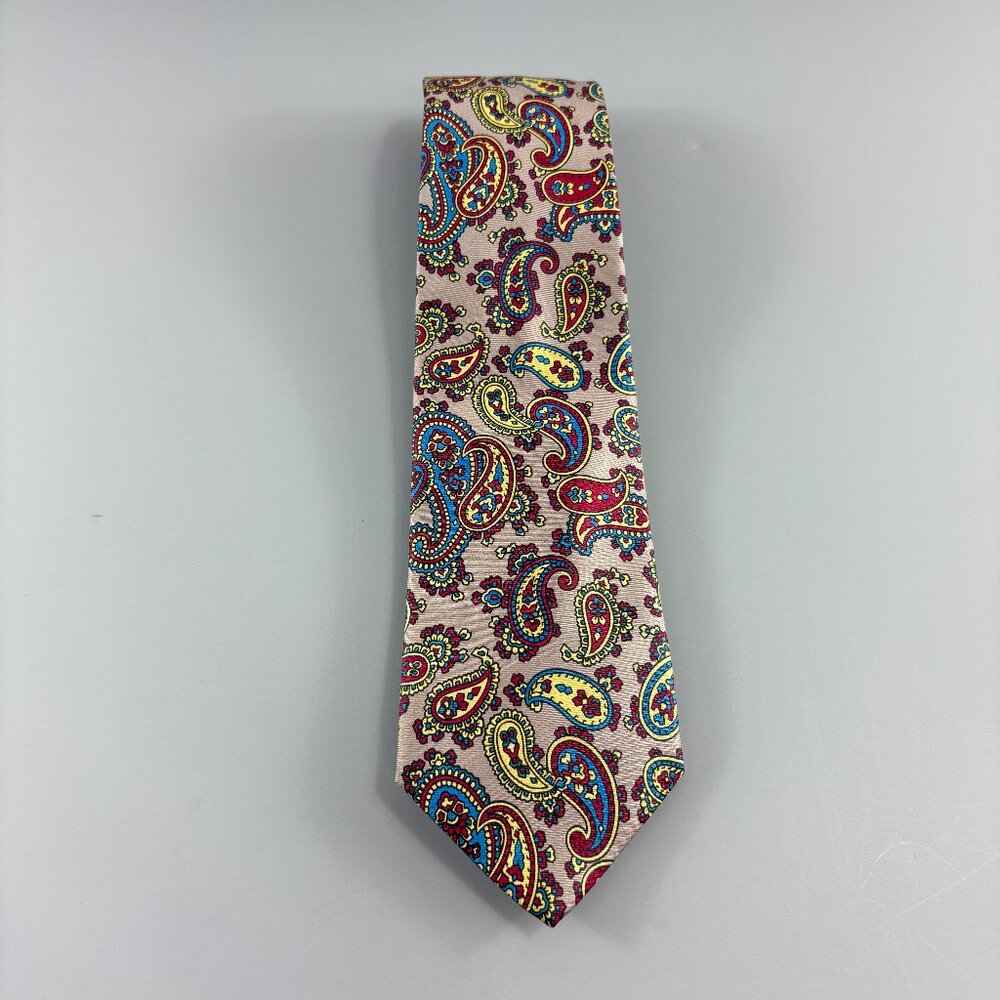 Lorenzo Greyish / Multi Paisley Men's Tie 3 1/4" x 59"